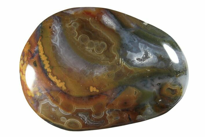 Polished Ocean Jasper Stone #239198